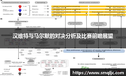 汉维特与马尔默的对决分析及比赛前瞻展望